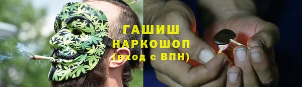 ГАЛЛЮЦИНОГЕННЫЕ ГРИБЫ Лабытнанги