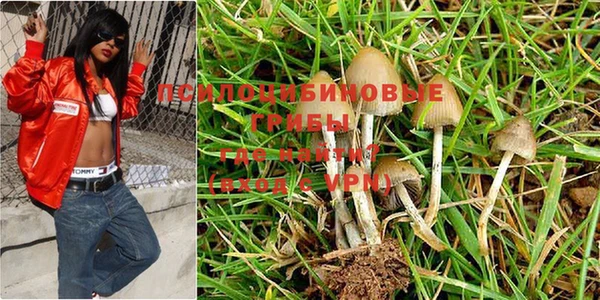 меф Кукмор