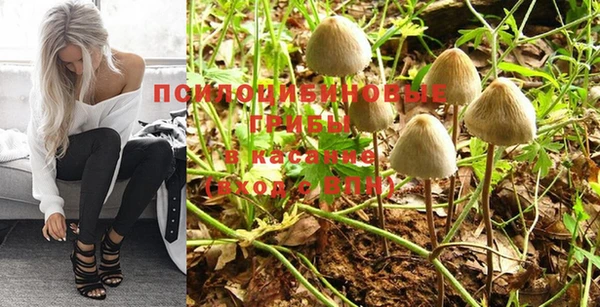 ГАЛЛЮЦИНОГЕННЫЕ ГРИБЫ Лабытнанги
