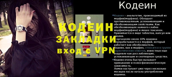соль ск Бикин