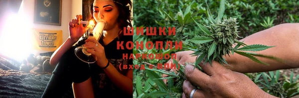 бошки Краснослободск